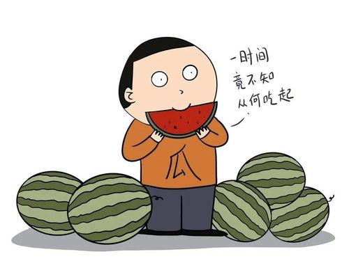 带你吃瓜英文,Exploring the World of Gossip: A Journey Through 'Eat the Watermelon' English Edition