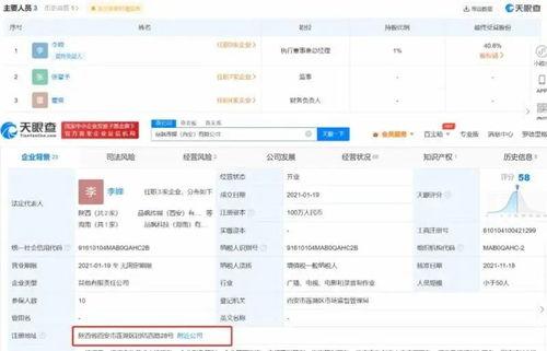 爆料带货视频,揭秘爆款带货视频背后的秘密