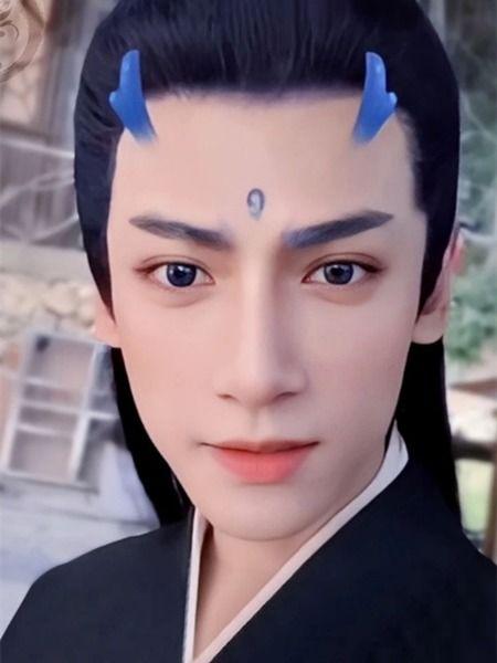 男明星敖丙,闪耀星途，魅力四溢的男明星风采