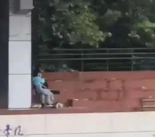 德州学院吃瓜视频,揭秘校园生活趣味瞬间