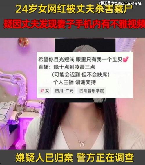 网红爱爱视频,背后真相与争议