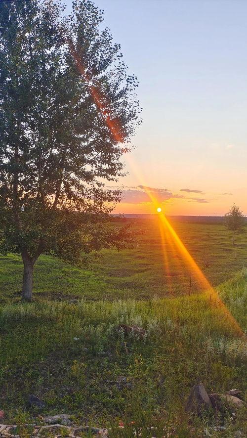 尘埃落尽的头条,揭秘头条背后的故事与真相