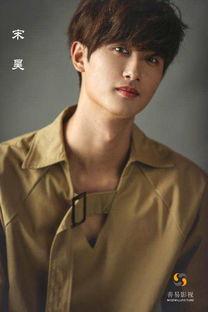 大陆影视明星男,璀璨星光下的青春演绎