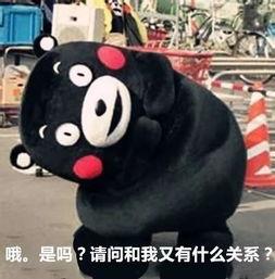 答非所问吃瓜,吃瓜群众如何解读娱乐圈风云