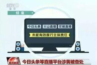 宁波花椒今日头条,探寻宁波特色花椒美食之旅