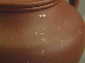 怎么看紫泥泥料好不好呢,紫泥泥料品质鉴别的秘诀解析