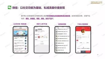 2019网红推广,流量密码与品牌新风尚