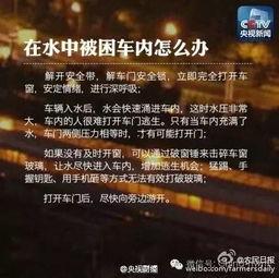 广西今日一线爆料,揭秘背后惊人真相