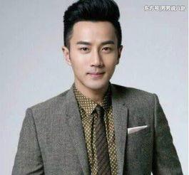 爸爸男明星,揭秘爸爸男明星的璀璨人生