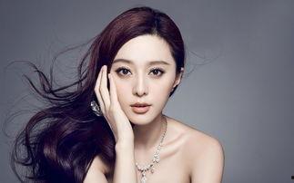 明星正面高清照片,明星风采瞬间