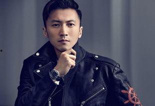 明星叶天,星光璀璨的影视新星