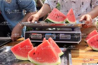 山东近期吃瓜事件,近期热点事件背后的社会观察