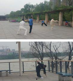 今日头条公园晨练计划,公园活力启航——今日头条公园晨练计划概览