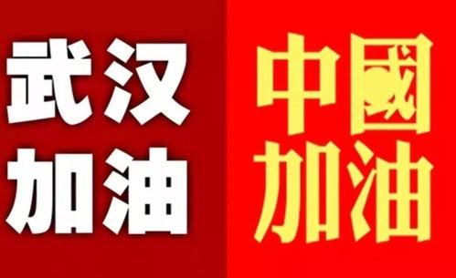 加油武汉头条视频主页,加油武汉！头条视频主页展现抗疫精神与城市力量